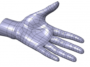 Cad-friendly casual woman hand model f1p1d0v1hand Modelo 3D
