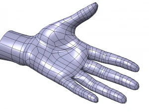 Cad-friendly casual woman hand model f1p1d0v1hand 3D Model