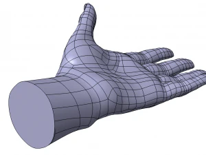 Cad-friendly casual woman hand model f1p1d0v1hand 3D Model