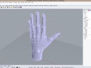 Cad-friendly casual woman hand model f1p1d0v1hand Modelo 3D
