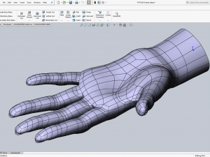 Cad-friendly casual woman hand model f1p1d0v1hand Modelo 3D