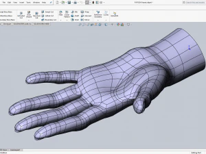 Cad-friendly casual woman hand model f1p1d0v1hand 3D Model