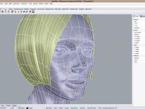 cad-friendly casual woman head model f1p1d0v1head 3D 模型