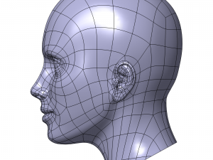 cad-friendly casual woman head model f1p1d0v1head 3D 模型