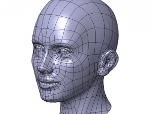 cad-friendly casual woman head model f1p1d0v1head 3D 模型