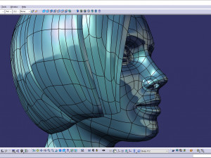 cad-friendly casual woman head model f1p1d0v1head 3D 模型