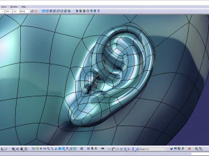 Genital detayları ile cad ger&ccedil;ek&ccedil;i g&uuml;ndelik kadın modeli f1p1d2v1 3D Model