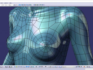 Genital detayları ile cad ger&ccedil;ek&ccedil;i g&uuml;ndelik kadın modeli f1p1d2v1 3D Model