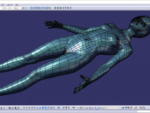 Cad realistic casual woman model with genital details f1p1d2v1 3D Model