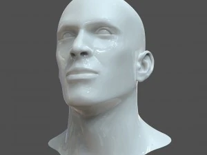 Удобная для CAD модель головы человека m1p1d0v1head 3D Модель