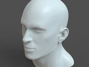 cad-friendly man head model m1p1d0v1head 3D Model