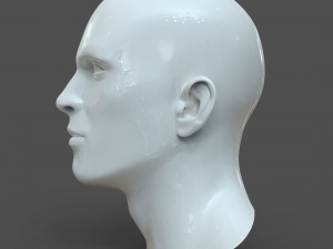cad-friendly man head model m1p1d0v1head 3D मॉडल