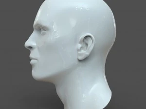 cad-friendly man head model m1p1d0v1head 3D Model