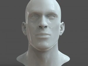 cad-friendly man head model m1p1d0v1head 3D Model