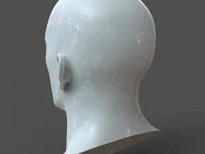 cad-friendly man head model m1p1d0v1head 3D Model