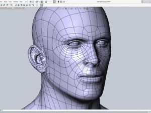 cad-friendly man head model m1p1d0v1head 3D Model