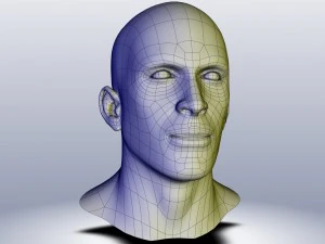cad-friendly man head model m1p1d0v1head 3D Model
