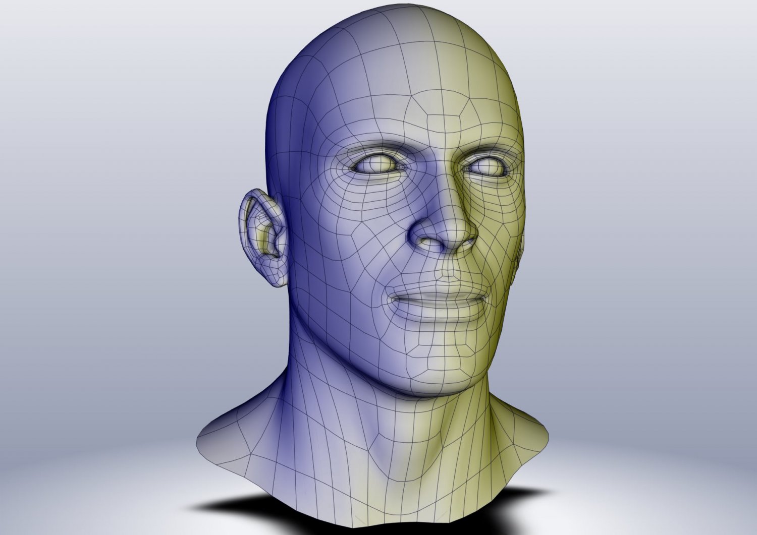 3д модель головы. 3д модель мужчины. Модель синяя голова. Man head 3d. Голова 3d умный.