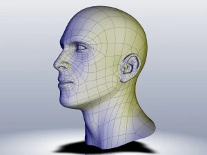 cad-friendly man head model m1p1d0v1head 3D Model
