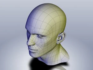 cad-friendly man head model m1p1d0v1head 3D Model