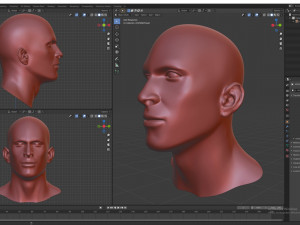 cad-friendly man head model m1p1d0v1head 3D मॉडल