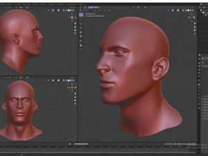 cad-friendly man head model m1p1d0v1head 3D Model