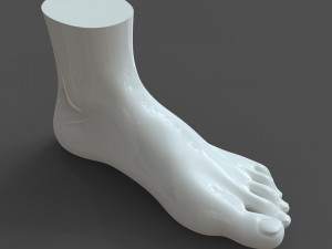 cad compatible female foot model f1p1d0v1feet 3D Model