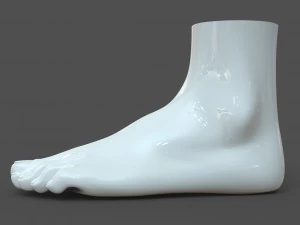 cad compatible female foot model f1p1d0v1feet 3D Model