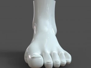 cad compatible female foot model f1p1d0v1feet 3D Model
