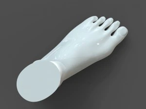 cad compatible female foot model f1p1d0v1feet 3D Model