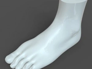 cad compatible female foot model f1p1d0v1feet 3D Model