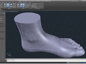 cad compatible female foot model f1p1d0v1feet 3D Model