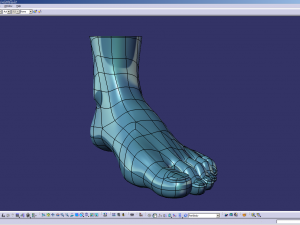 cad compatible female foot model f1p1d0v1feet 3Dモデル