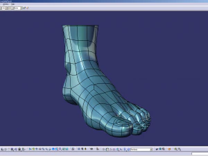 cad compatible female foot model f1p1d0v1feet 3D Model