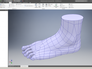 cad compatible female foot model f1p1d0v1feet 3Dモデル