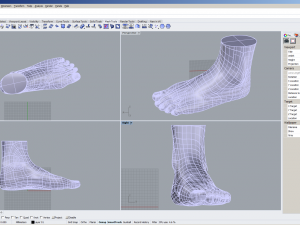 cad compatible female foot model f1p1d0v1feet 3Dモデル