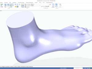 cad compatible female foot model f1p1d0v1feet 3Dモデル