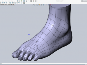 cad compatible female foot model f1p1d0v1feet 3Dモデル
