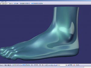 cad compatible female foot model f1p1d0v1feet 3D Model