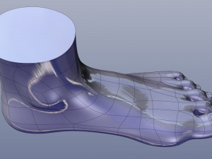 cad compatible female foot model f1p1d0v1feet 3Dモデル