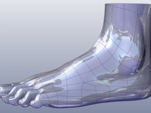 cad compatible female foot model f1p1d0v1feet 3Dモデル