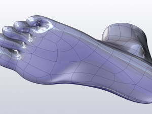 cad compatible female foot model f1p1d0v1feet 3Dモデル