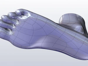 cad compatible female foot model f1p1d0v1feet 3D Model