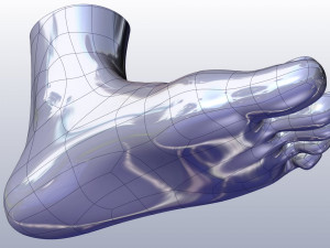 cad compatible female foot model f1p1d0v1feet 3Dモデル