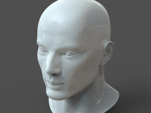 cad male head model m2p1d0v1head 3D Model
