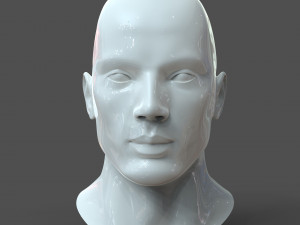 cad male head model m2p1d0v1head 3D Model