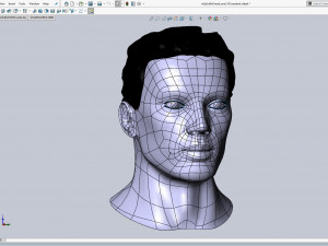 cad male head model m2p1d0v1head 3D Model