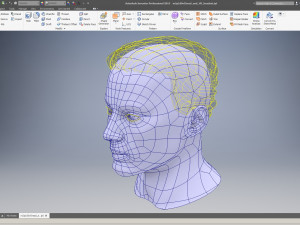 cad male head model m2p1d0v1head 3D Model