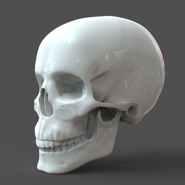 cad compatible human skull model m3p1d1v1skull 3D 模型 .c4d .max .obj .3ds .fbx .stl .blend 