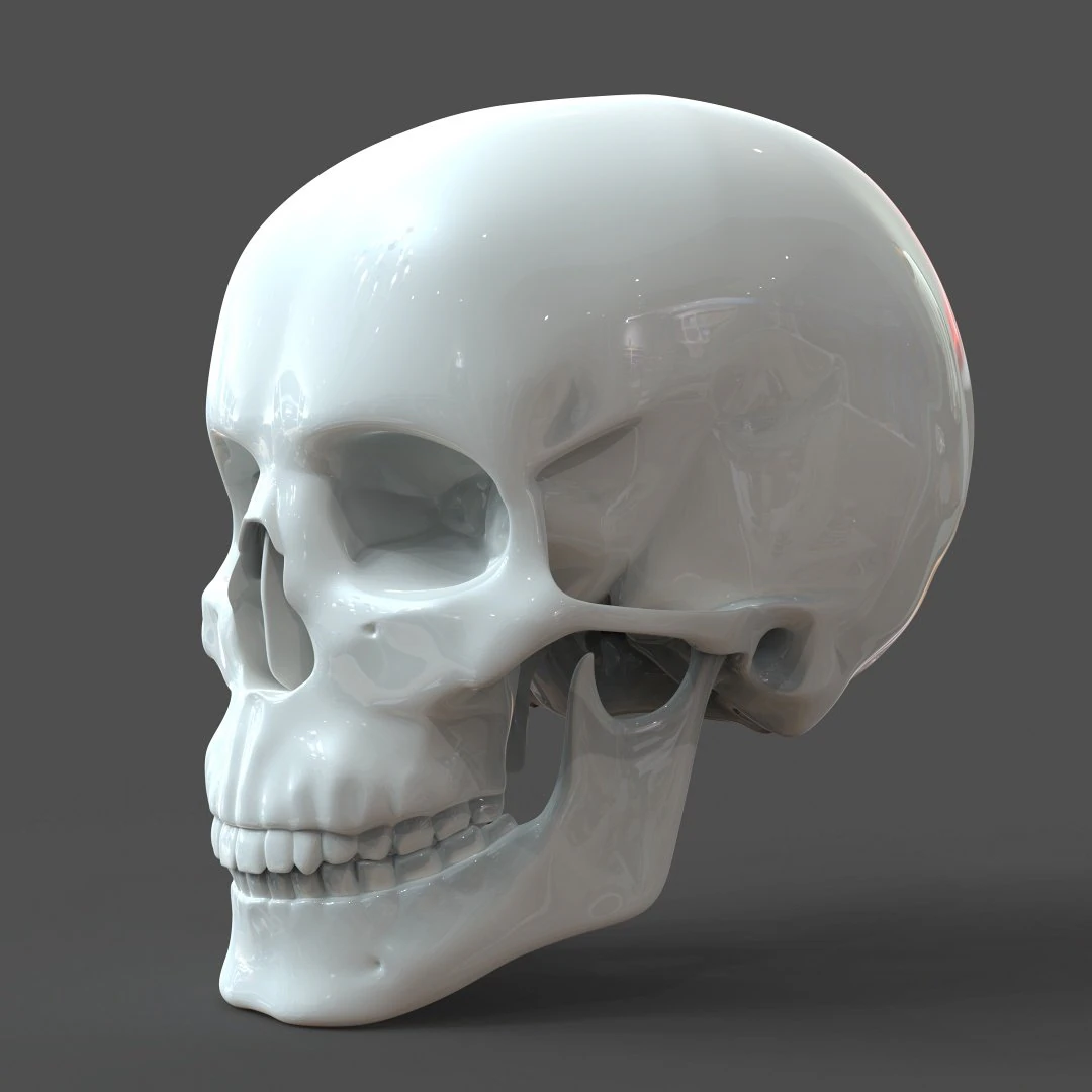 cad compatible human skull model m3p1d1v1skull 3D Model .c4d .max .obj .3ds .fbx .stl .blend 